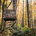 Bed & Breakfast Kakukk Vendéglő Panzió 4*